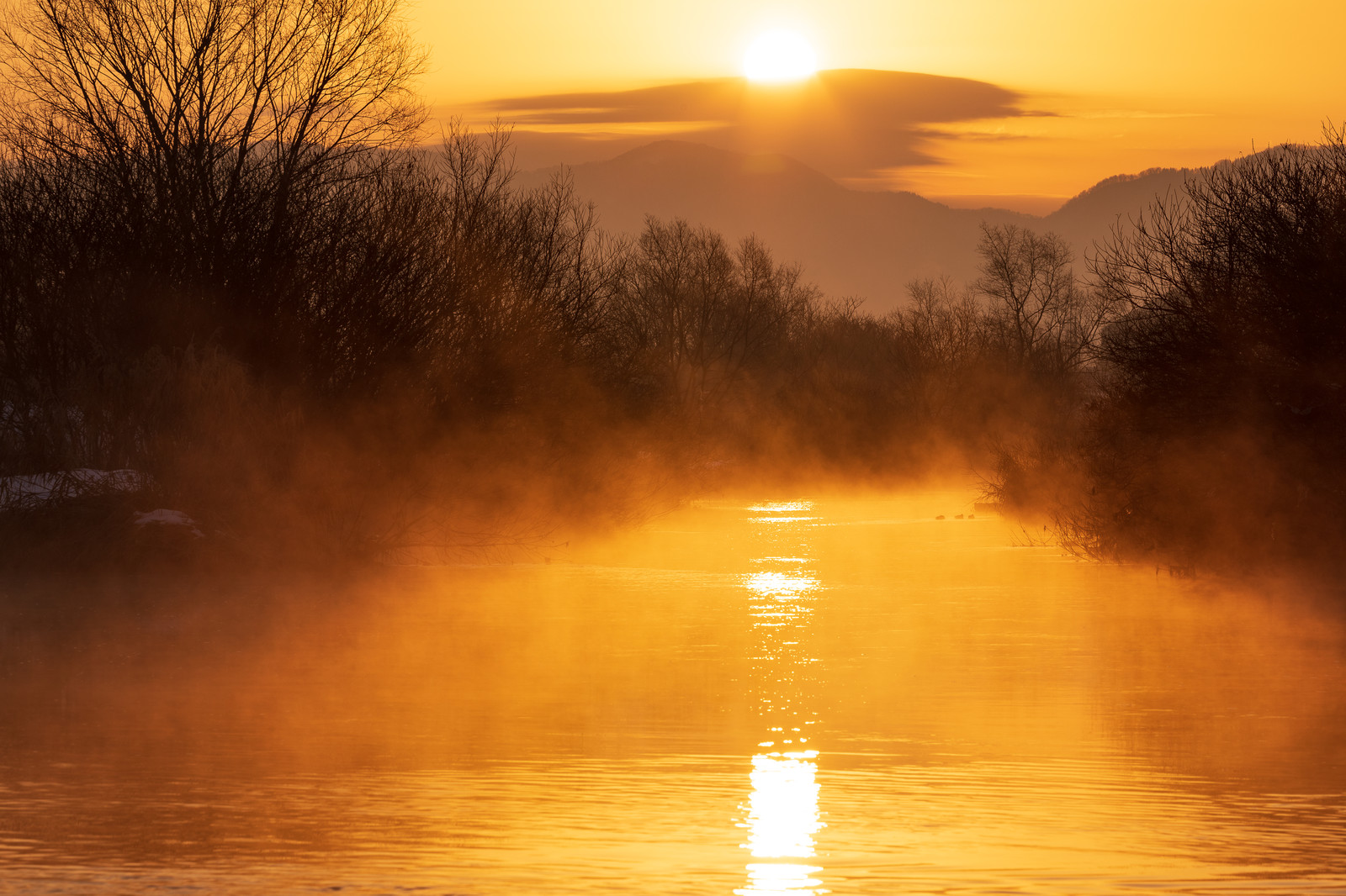朝活で何する？【自分磨きをしましょう】３年間継続した結果