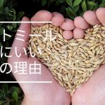 【バルクアップ飯】筋トレ民にオートミールが最強な理由【ダイエットも可能】