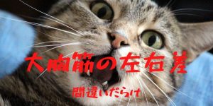 大胸筋の左右差を改善する方法【弱い方に合わせるは間違い】