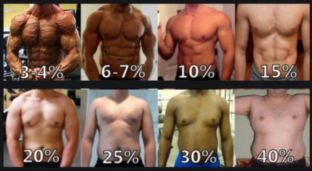 細マッチョを目指す場合の３つの注意点【有酸素運動はいらない？】