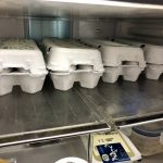 筋トレで卵は１日何個までOK？【筋トレ歴６年で毎日４個食べ続けた結果が驚き】