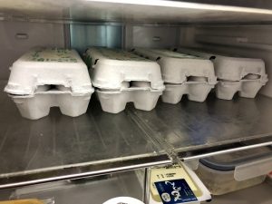 筋トレで卵は１日何個までOK？【筋トレ歴６年で毎日４個食べ続けた結果が驚き】