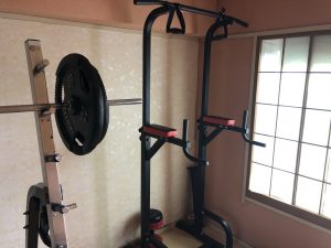 ぶら下がり健康機って意味ないの？２年ほど使用したデメリットが酷すぎのでレビュー