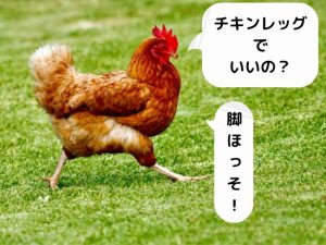 【チキンレッグ解消３つの秘策】ボトムヘビーがかっこいい筋肉ライフです